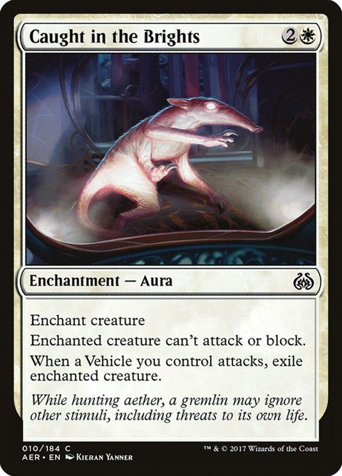 10-caughtinthebrights