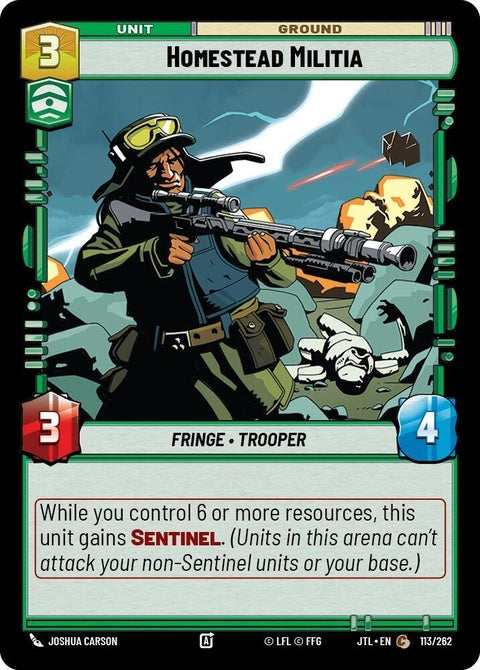 113-homesteadmilitia