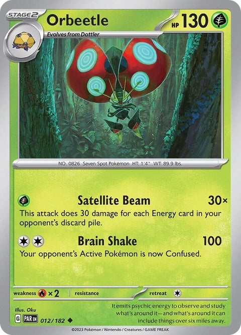 12-orbeetle