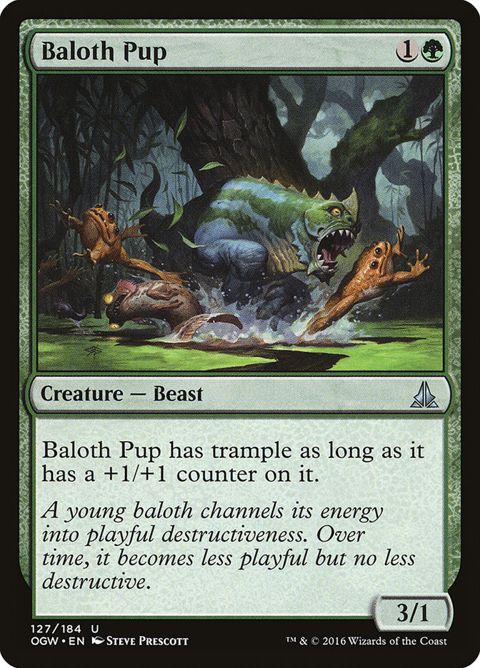 127-balothpup