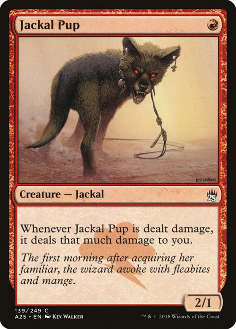 139-jackalpup