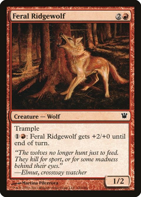 142-feralridgewolf