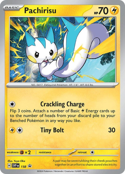 158-pachirisu