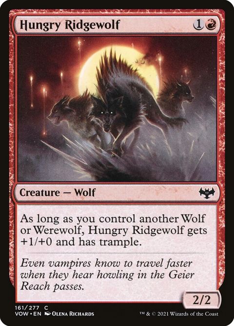 161-hungryridgewolf