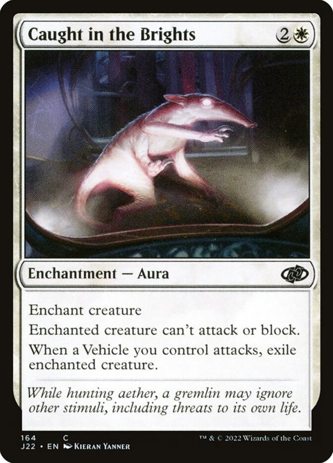 164-caughtinthebrights