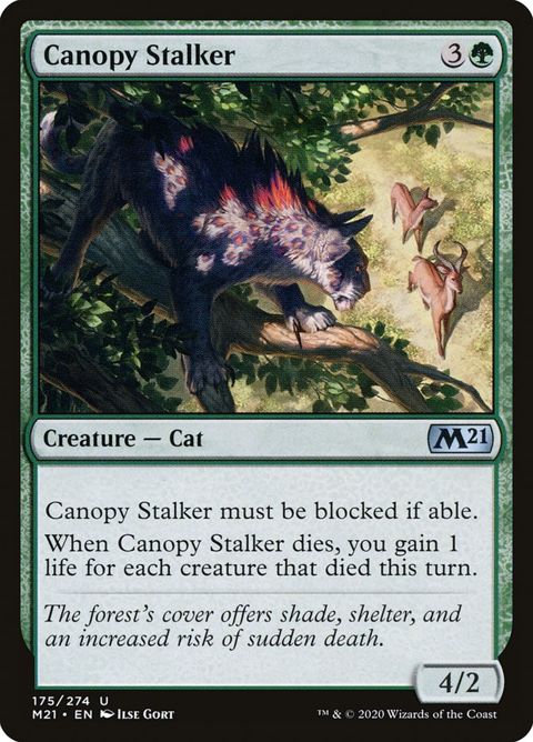 175-canopystalker