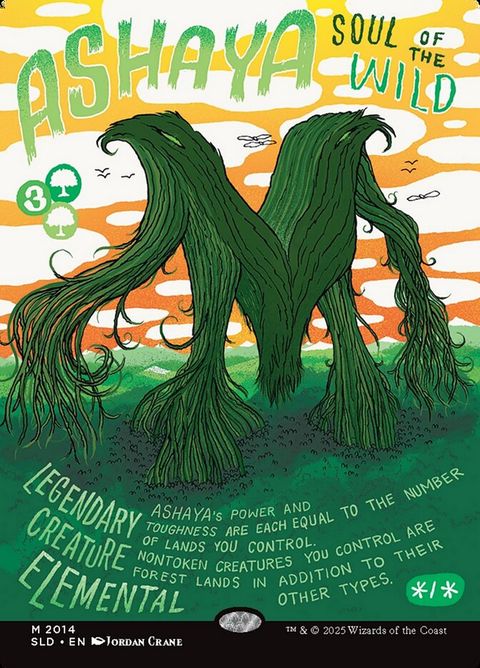 2014-ashayasoulofthewild