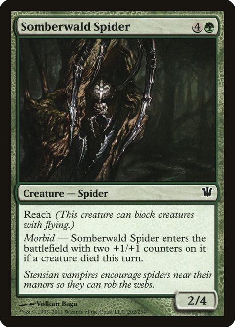 202-somberwaldspider