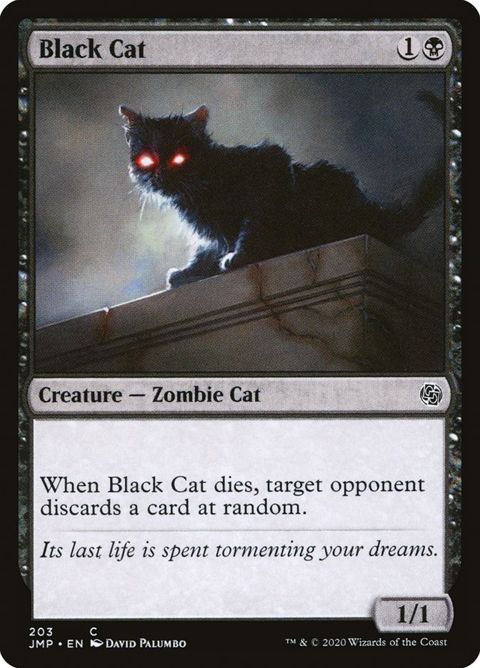 203-blackcat