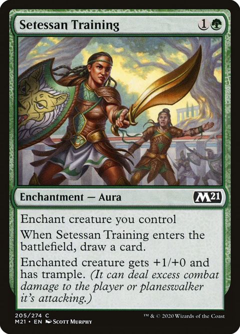 205-setessantraining