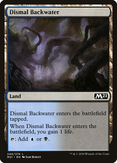 245-dismalbackwater