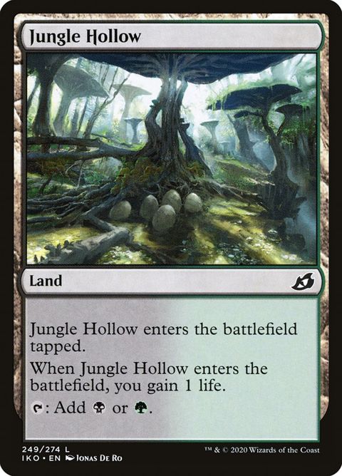 249-junglehollow