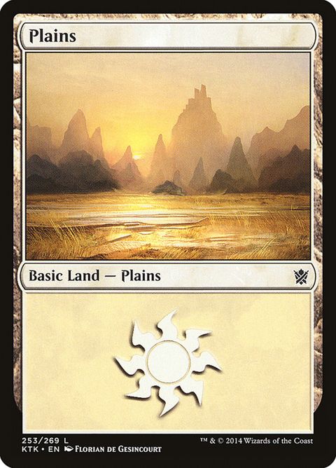 253-plains