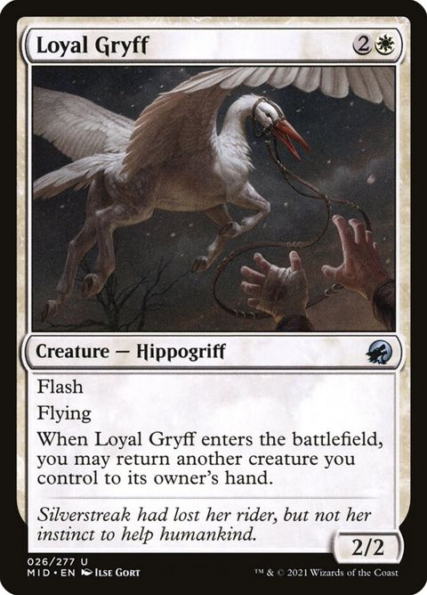 26-loyalgryff