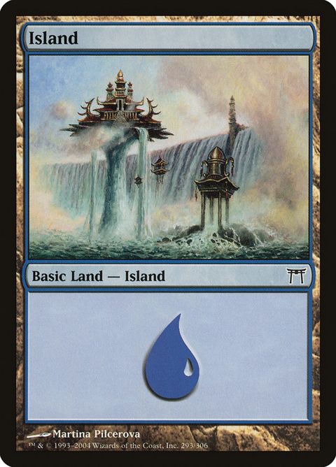 293-island