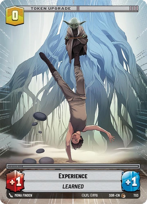 295-t03-administratorstowerexperience