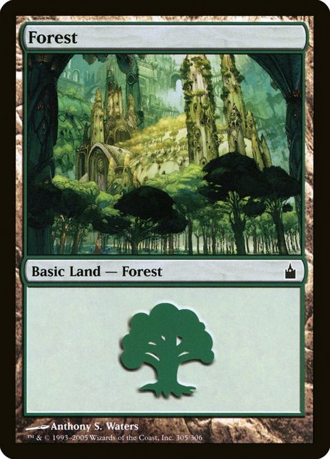 305-forest