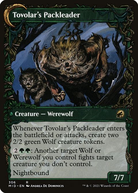 306-tovolarshuntmastertovolarspackleader