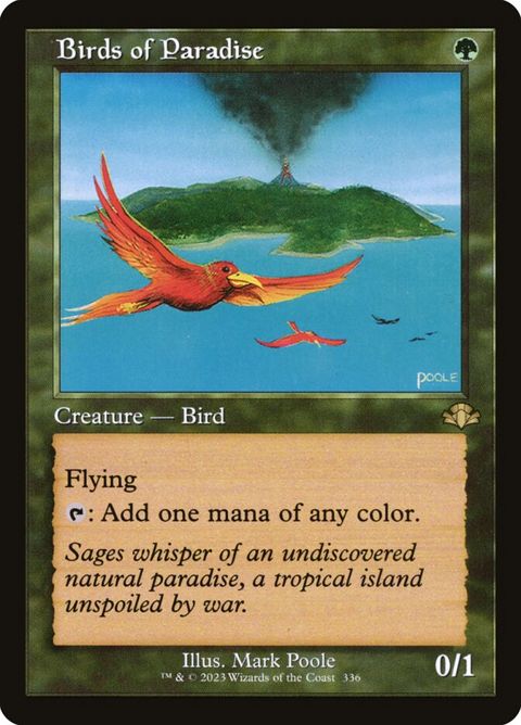 336-birdsofparadise