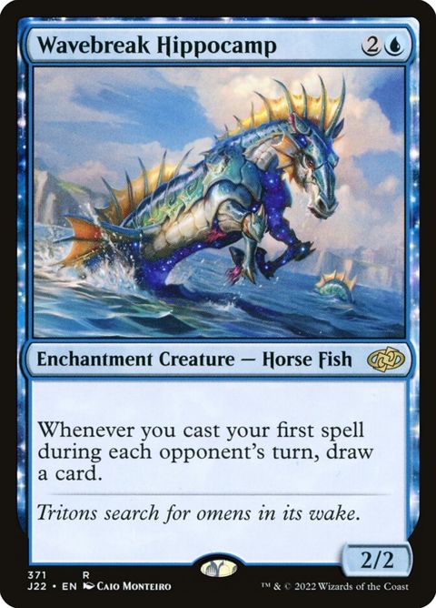 371-wavebreakhippocamp