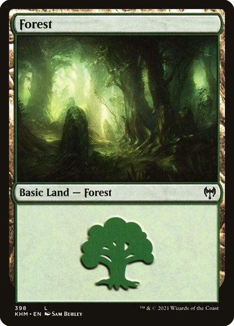 398-forest