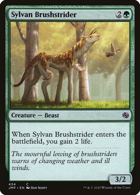 434-sylvanbrushstrider