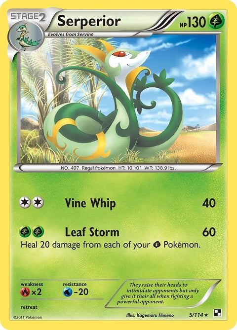 5-serperior
