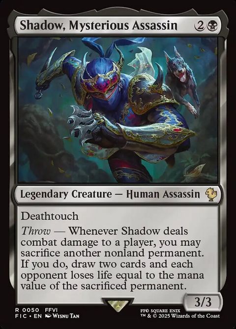 50-shadowmysteriousassassin