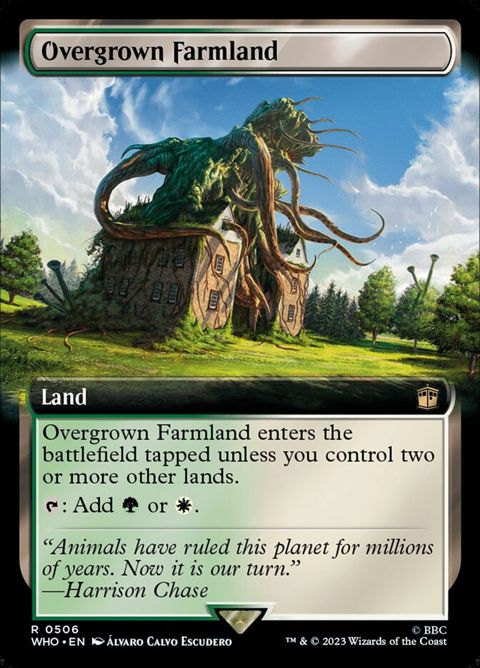 506-overgrownfarmland
