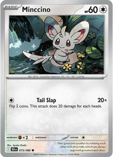 75-minccino-pokeballpattern