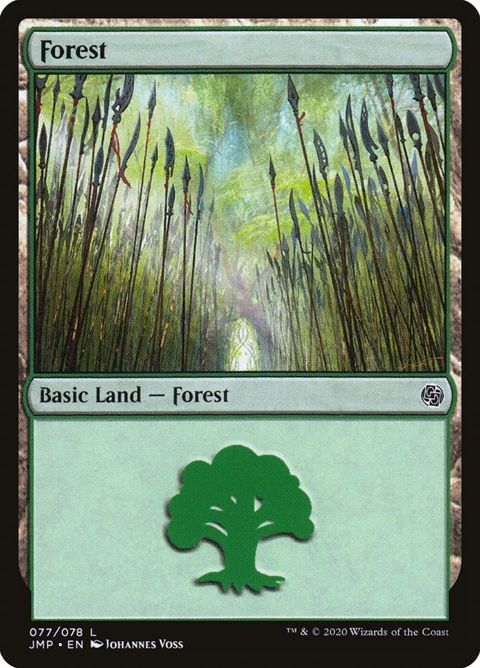 77-forest