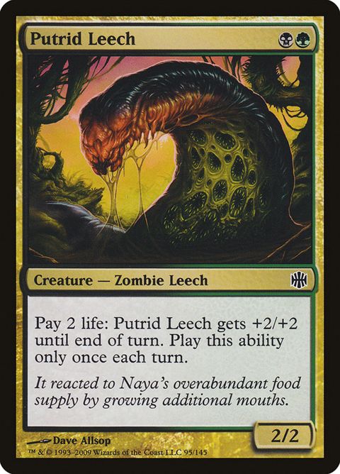 95-putridleech