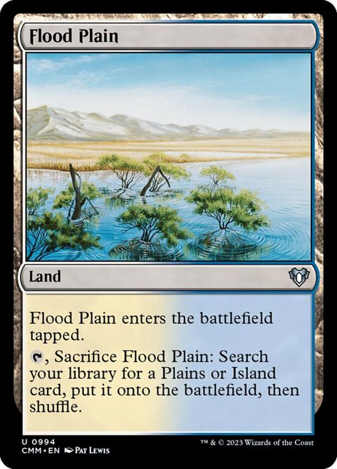 994-floodplain
