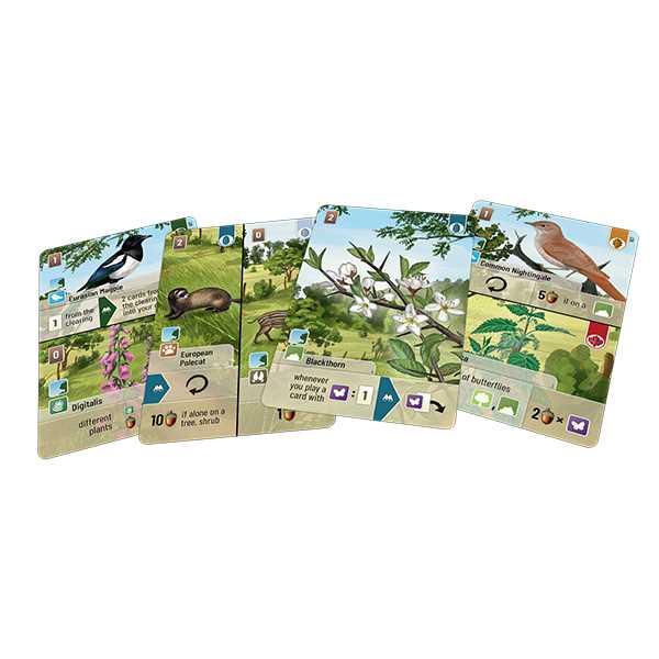 Forest Shuffle: Woodland Edge Expansion