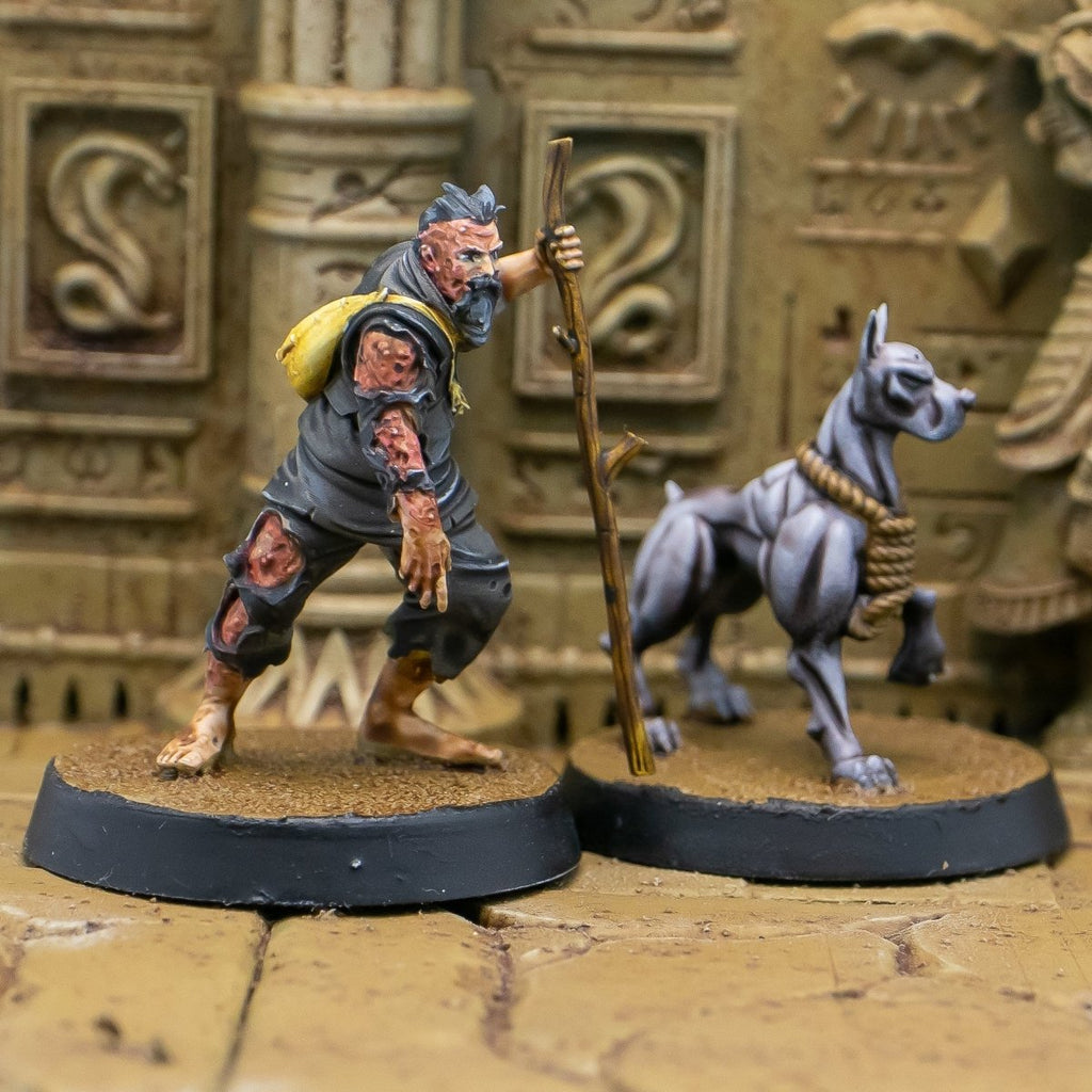 Doberman Companion Dog Miniature