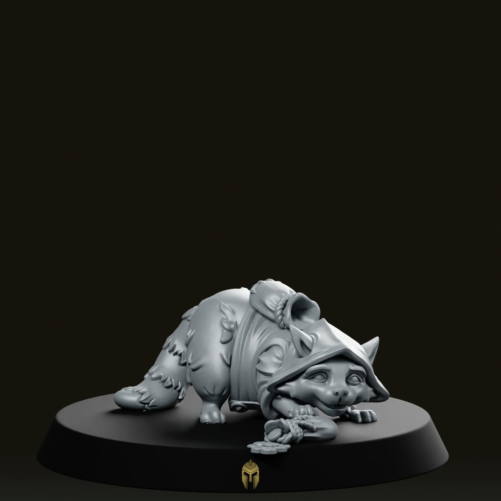 Racoon Rakoun Explorer B Miniature