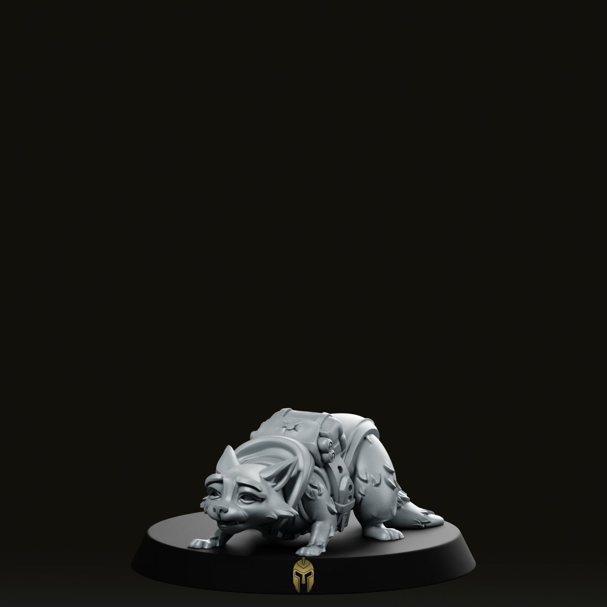 Rakoun A Pet Racoon Miniature