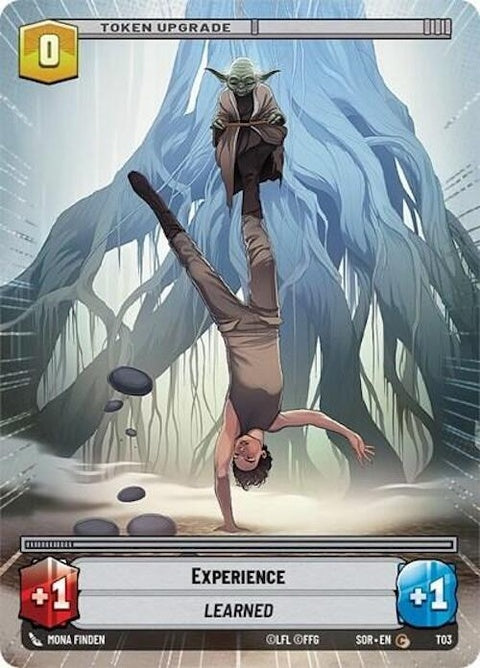 t03-t04-experienceshield