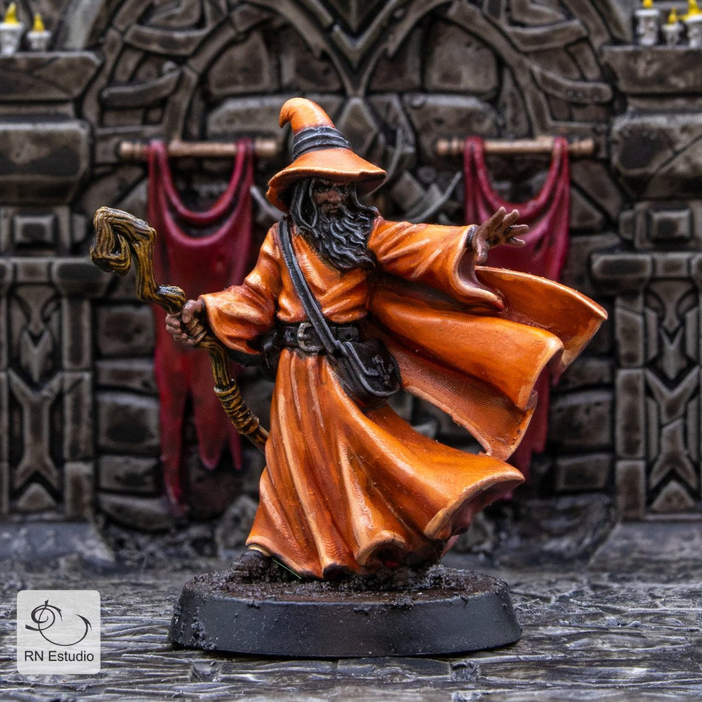 Wizard Amlund Maegon LOTR Miniature