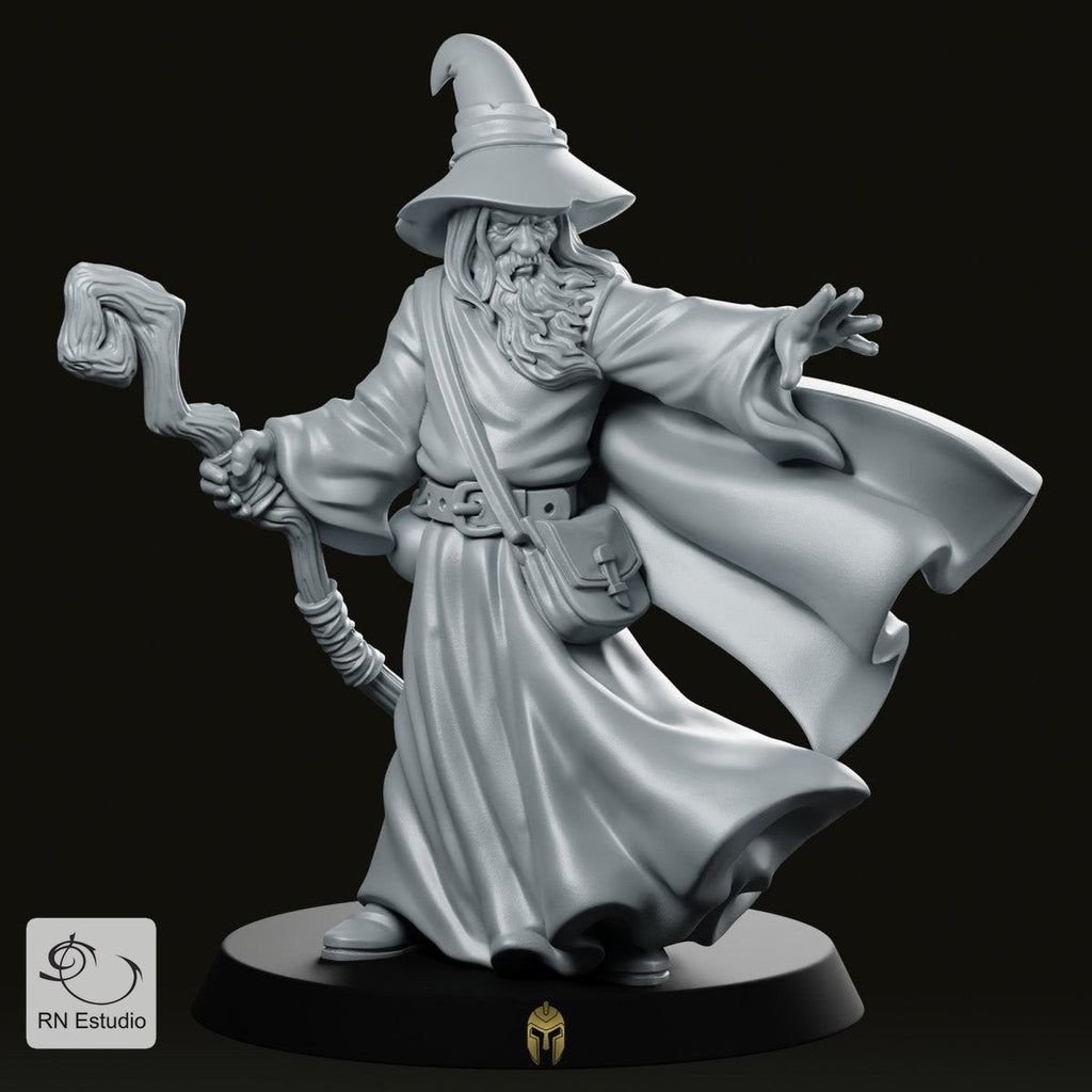 Wizard Amlund Maegon LOTR Miniature