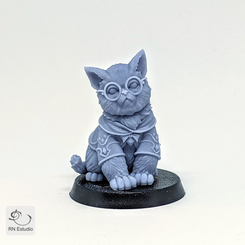 Wizard Gaton Mage Cat Miniature