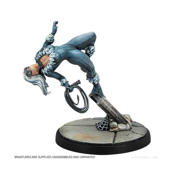 Amazing Spider-Man & Black Cat